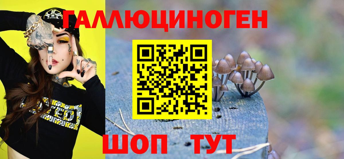Галлюциногенные грибы Psilocybe Алексин