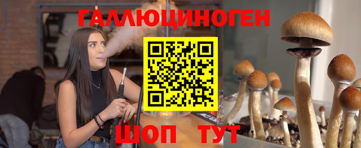 Псилоцибиновые грибы Cubensis  Галлюциногенные грибы Cubensis  Алексин  Вход с VPN 